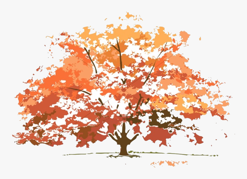 Fall Tree Colors Maple Nature Clipart Transparent Png - Trees Look In Different Seasons, Png Download, Free Download