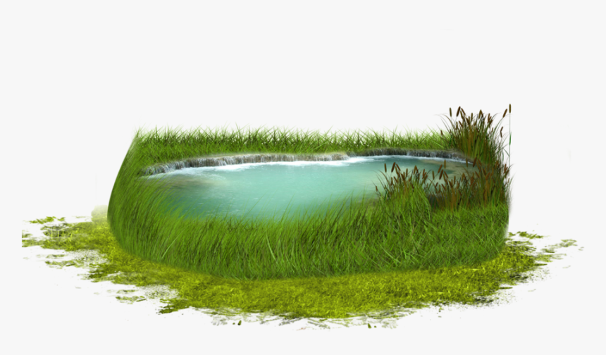 Pond With Grass Png Transparent Image - Pond, Png Download, Free Download