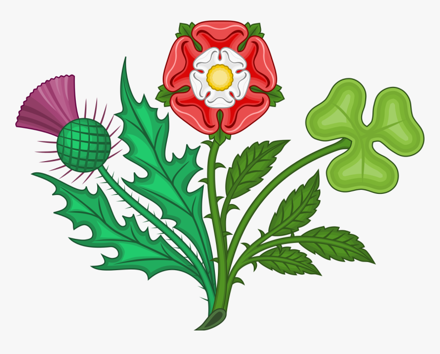 Clover Clipart Bouquet - United Kingdom Floral Symbols, HD Png Download, Free Download