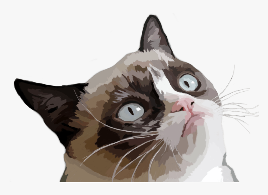 Grumpy Cat Vector Illustration - Grumpy Cat Ugly Cat, HD Png Download, Free Download
