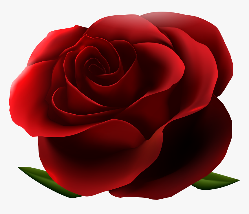 Lancashire Day 8-87164_transparent-red-roses-border-png-red-rose-no