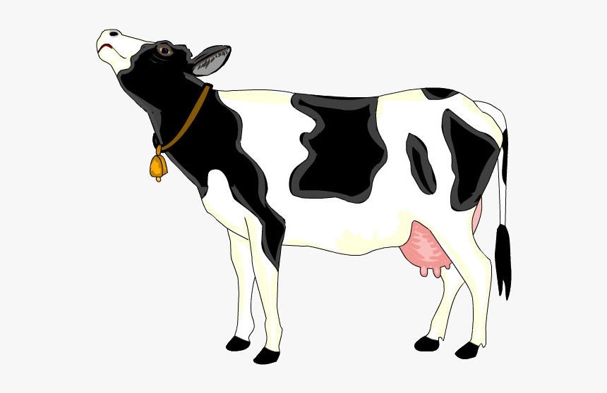 Cattle, HD Png Download, Free Download