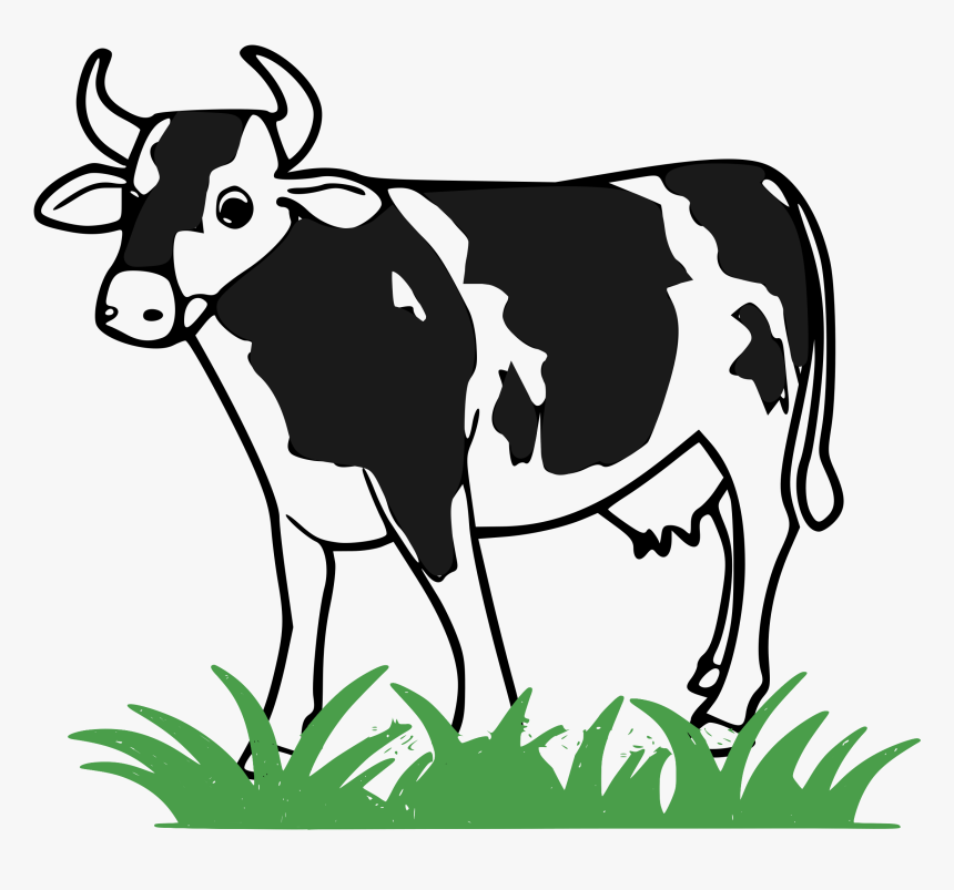 Zebu - Vaca Png, Transparent Png, Free Download