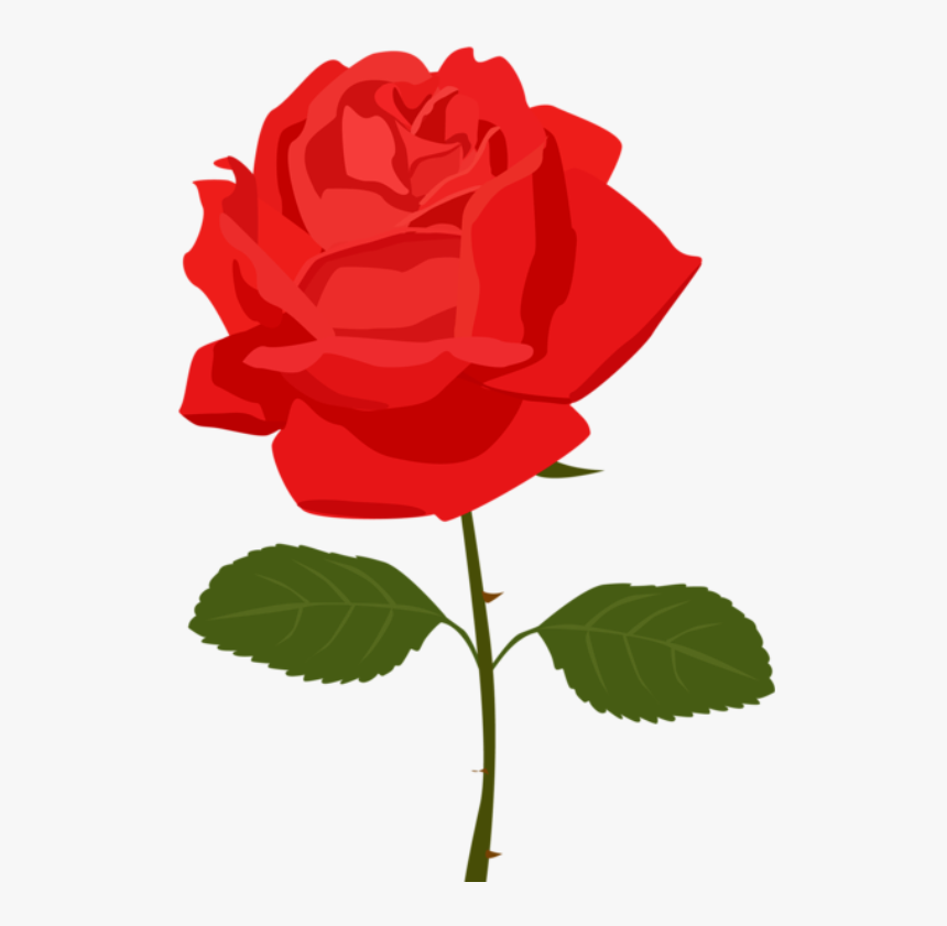 Rosa Vermelha 4 - Rose Clipart Transparent Background, HD Png Download, Free Download