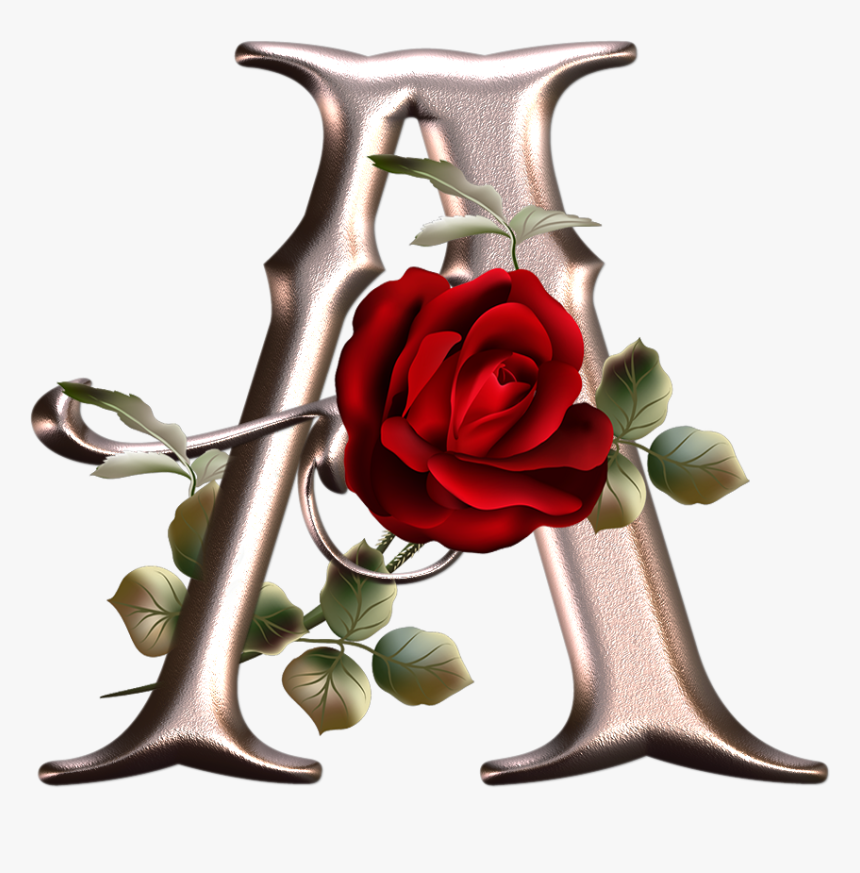 Transparent Rosa Vermelha Png - Розы Пнг Клипарт, Png Download, Free Download