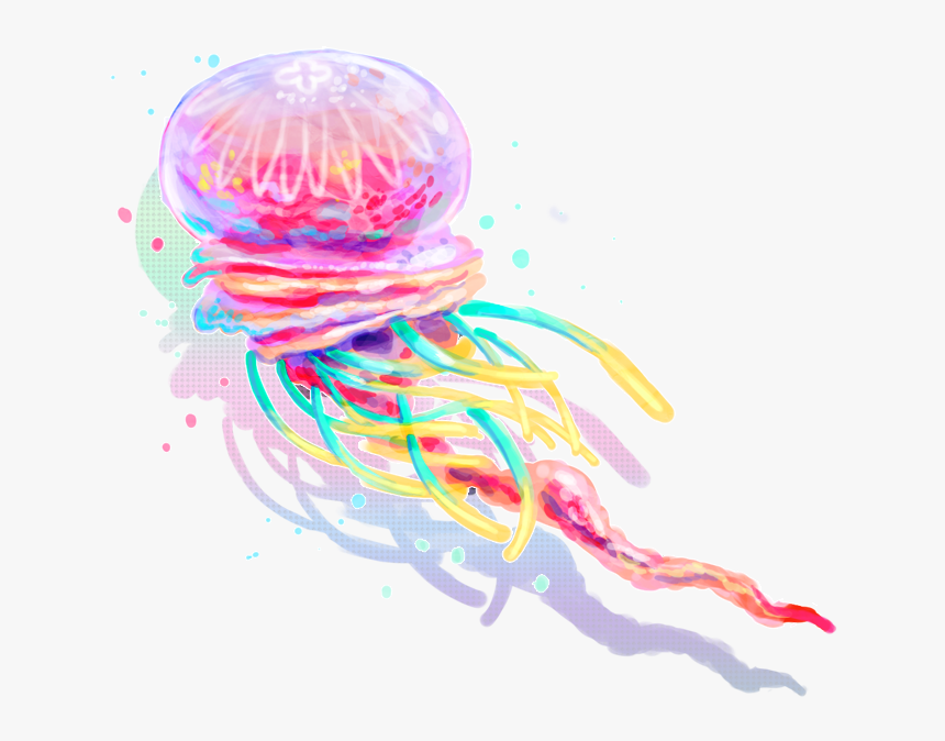 Jellyfish Png Clipart - Portable Network Graphics, Transparent Png, Free Download