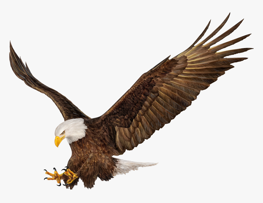 American Clip Art Image - American Eagle Png, Transparent Png, Free Download