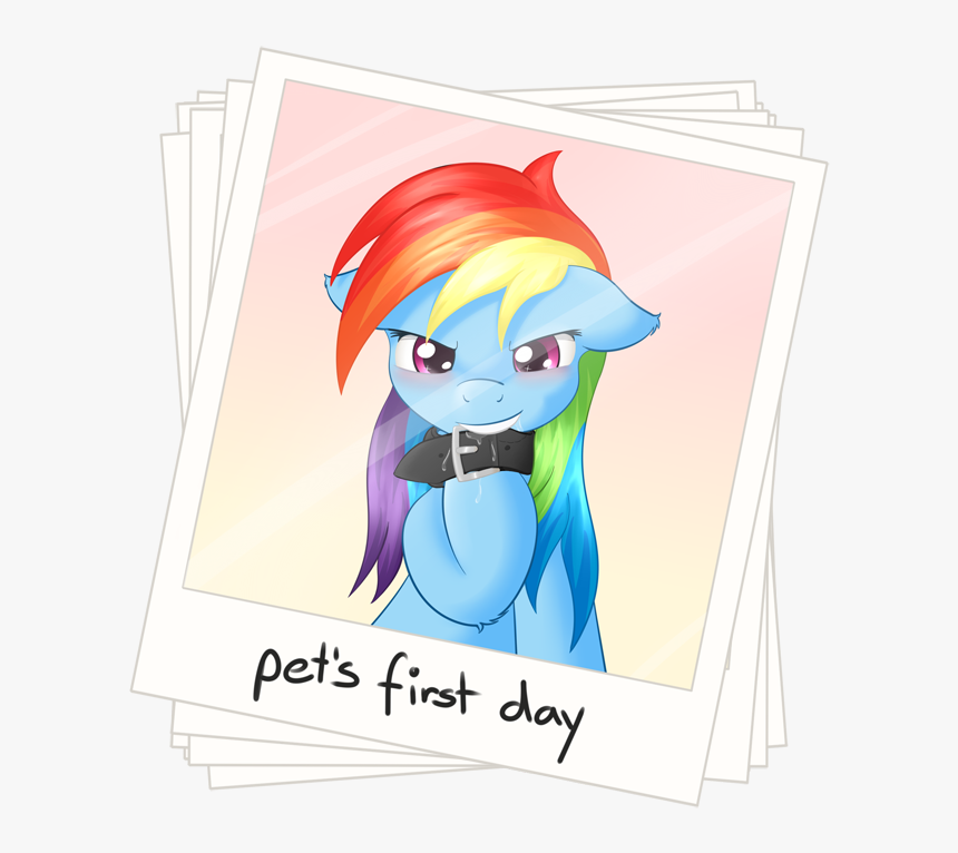 Mlp Pet Rainbow Dash, HD Png Download, Free Download