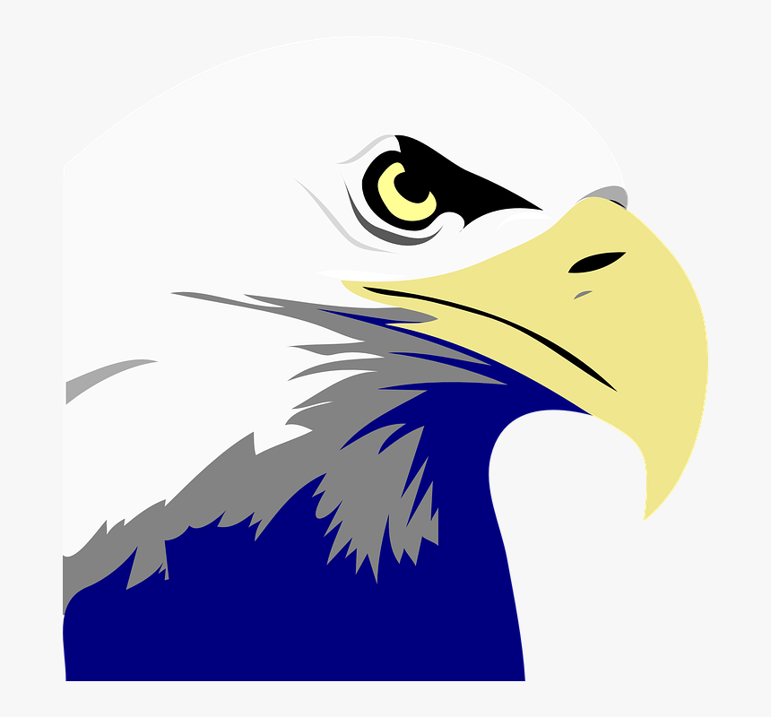 Bald Eagle Clipart, HD Png Download, Free Download