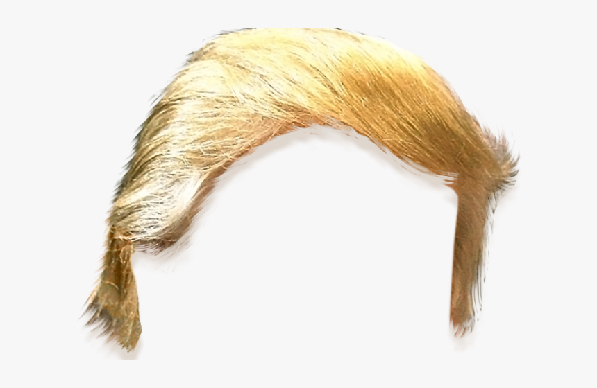 Haircut Clipart Trump - Donald Trump Hair Cut Out, HD Png Download, Free Download