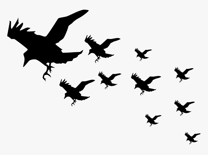 Flying Crow Silhouette Transparent, HD Png Download, Free Download