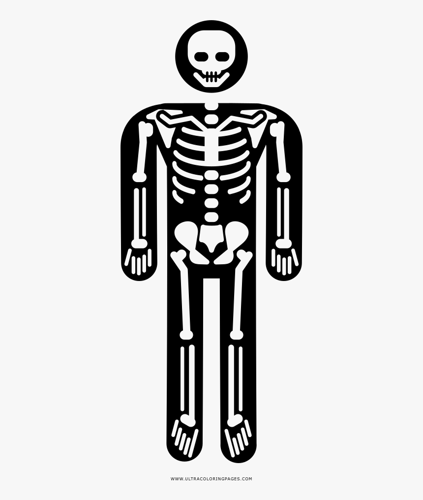 Esqueleto Página Para Colorear - Dibujos De Esqueleto Para Colorear, HD Png Download, Free Download