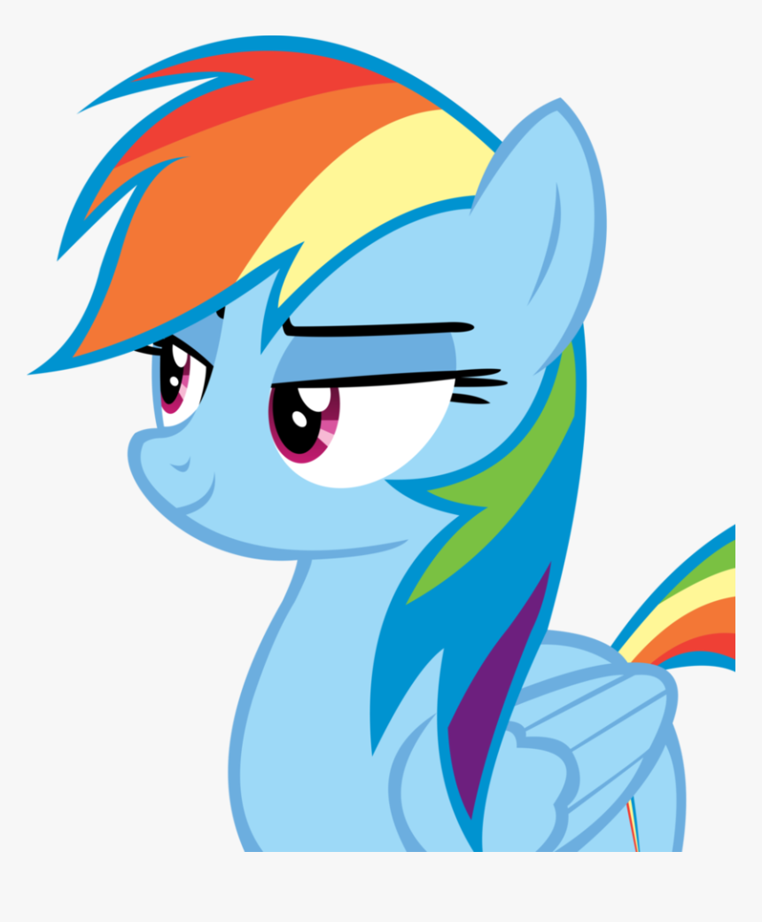 Rainbow Dash Wiki - Mlp Rainbow Dash X Quibble Pants, HD Png Download, Free Download