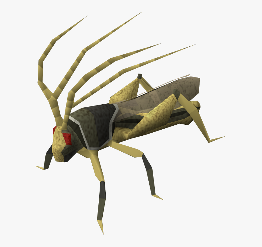 Png Transparent Images Pluspng - Mosquito, Png Download, Free Download