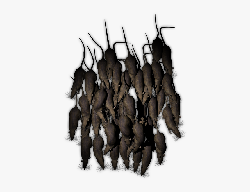 Swarm Of Rats Png, Transparent Png, Free Download