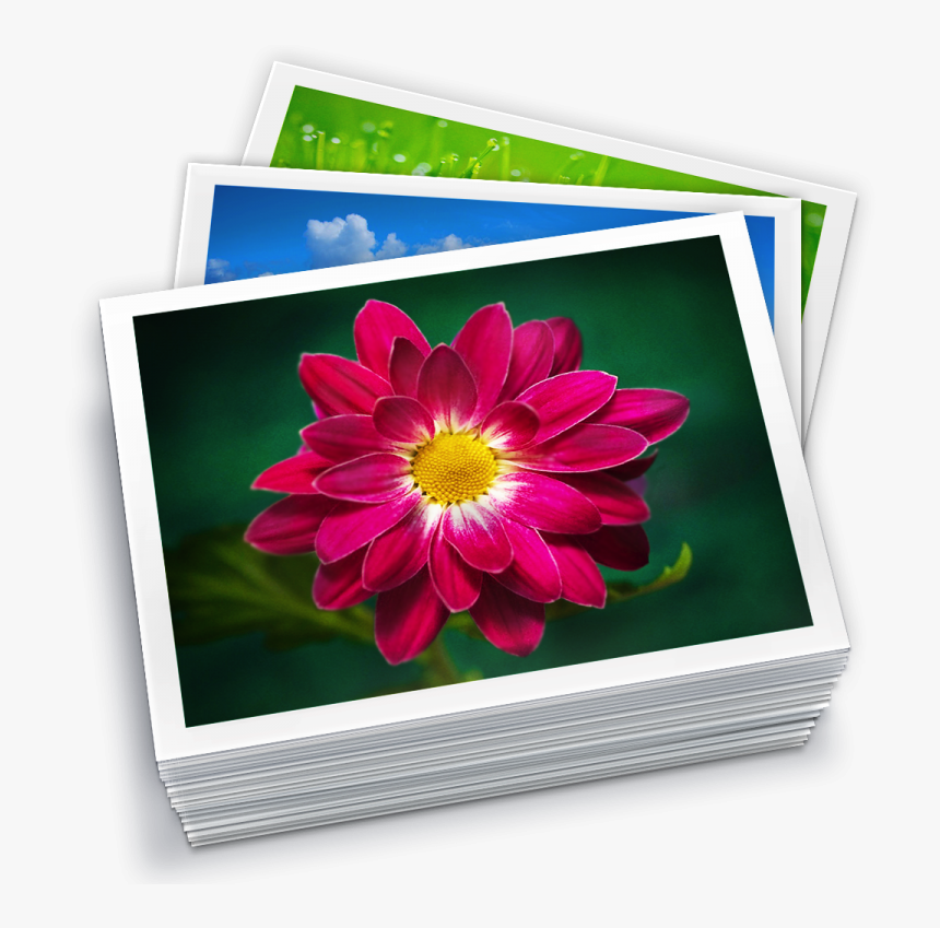 Php Photo Gallery Software - Iphoto Library, HD Png Download, Free Download