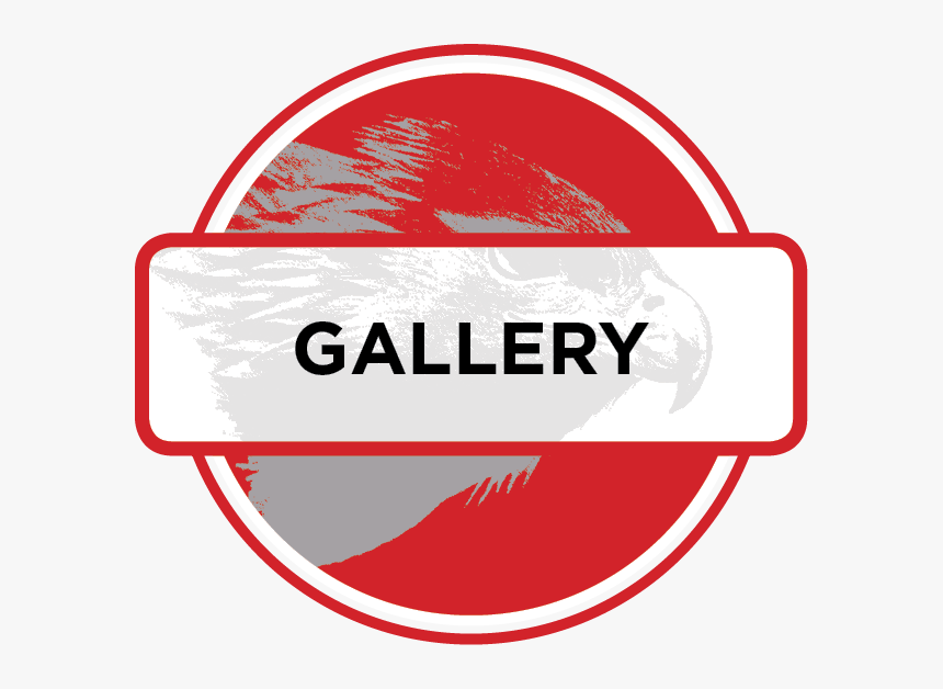 Gallery Red Icon Png , Png Download - Transparent Photo Gallery Icon, Png Download, Free Download