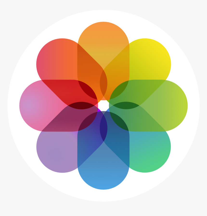 Ios 7 Contacts App Icon - Iphone Camera Roll Icon, HD Png Download, Free Download