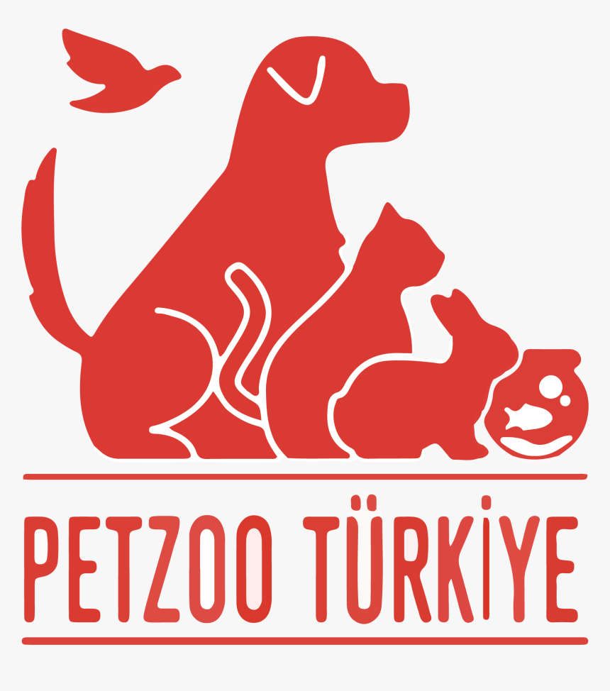 Petzoo Turkiye - Petzoo Turkey, HD Png Download, Free Download