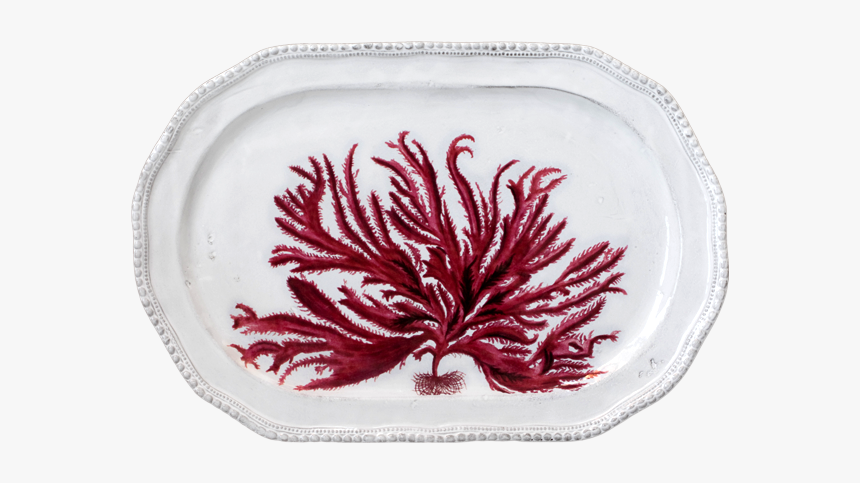 Red Seaweed, HD Png Download, Free Download