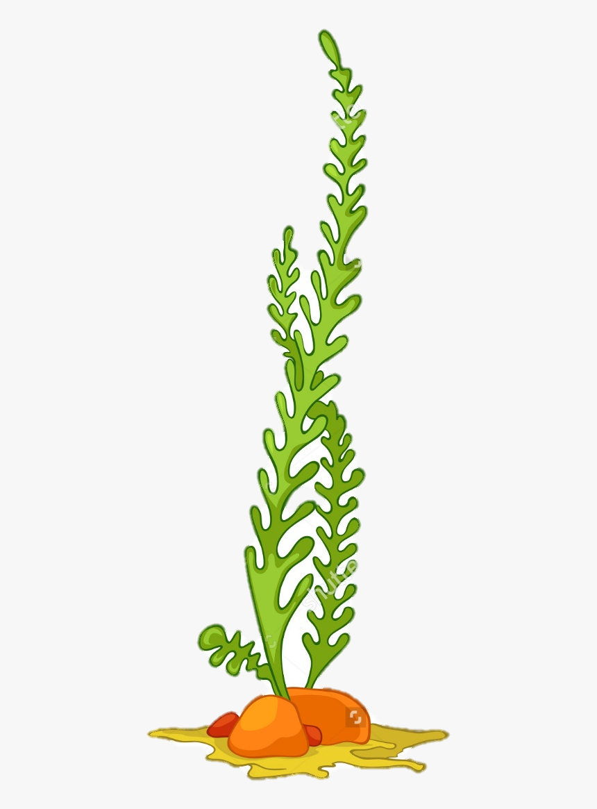 Clip Library Sea Plants Fabulous Kimo - Sea Plant Cartoon Png, Transparent Png, Free Download