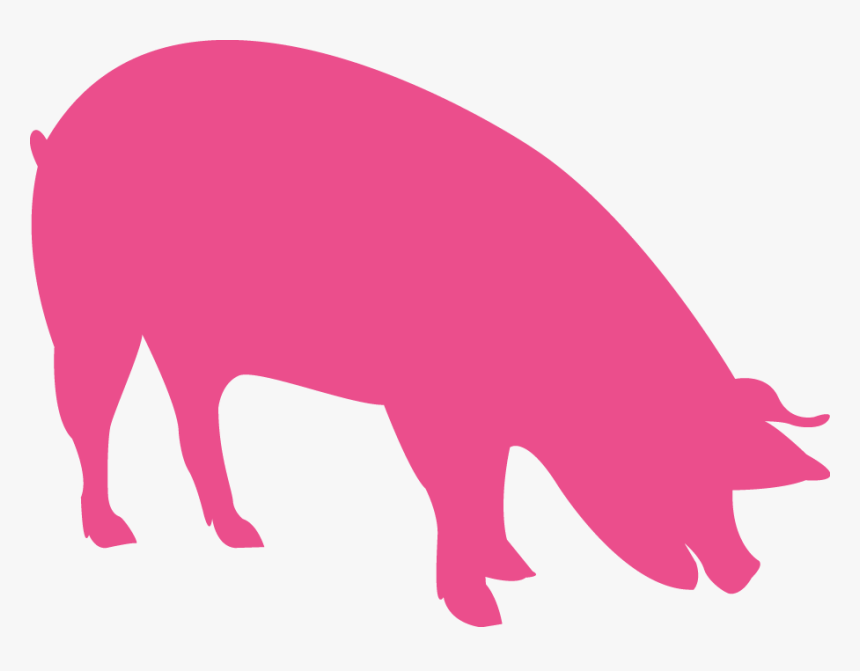 Vigorous Piglets And Finishers - Feed Pig Icon, HD Png Download, Free Download