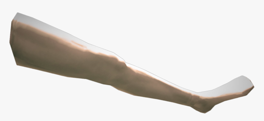 Left Leg Png, Transparent Png, Free Download