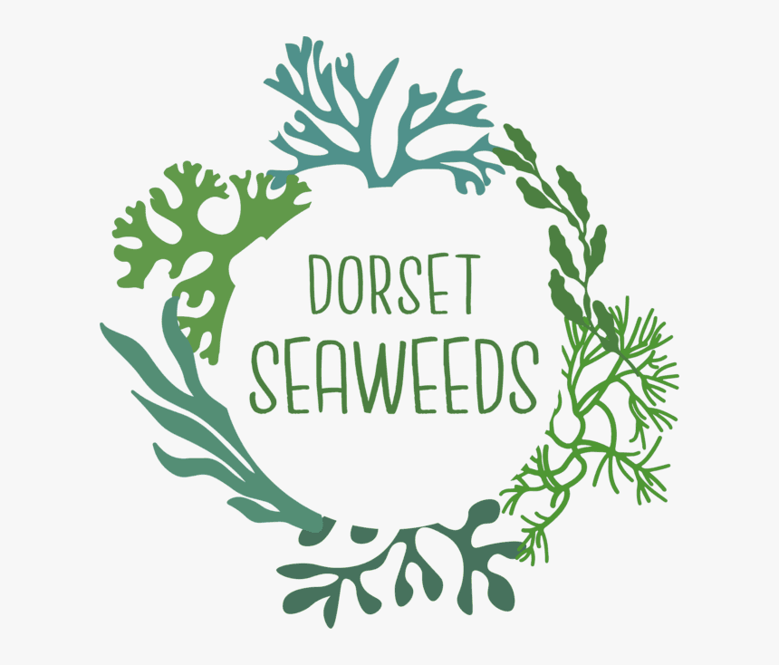 Logo Seaweed, HD Png Download, Free Download