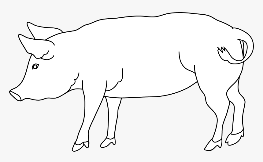 Pig Outline Png Transparent Background - White Pig Png, Png Download, Free Download