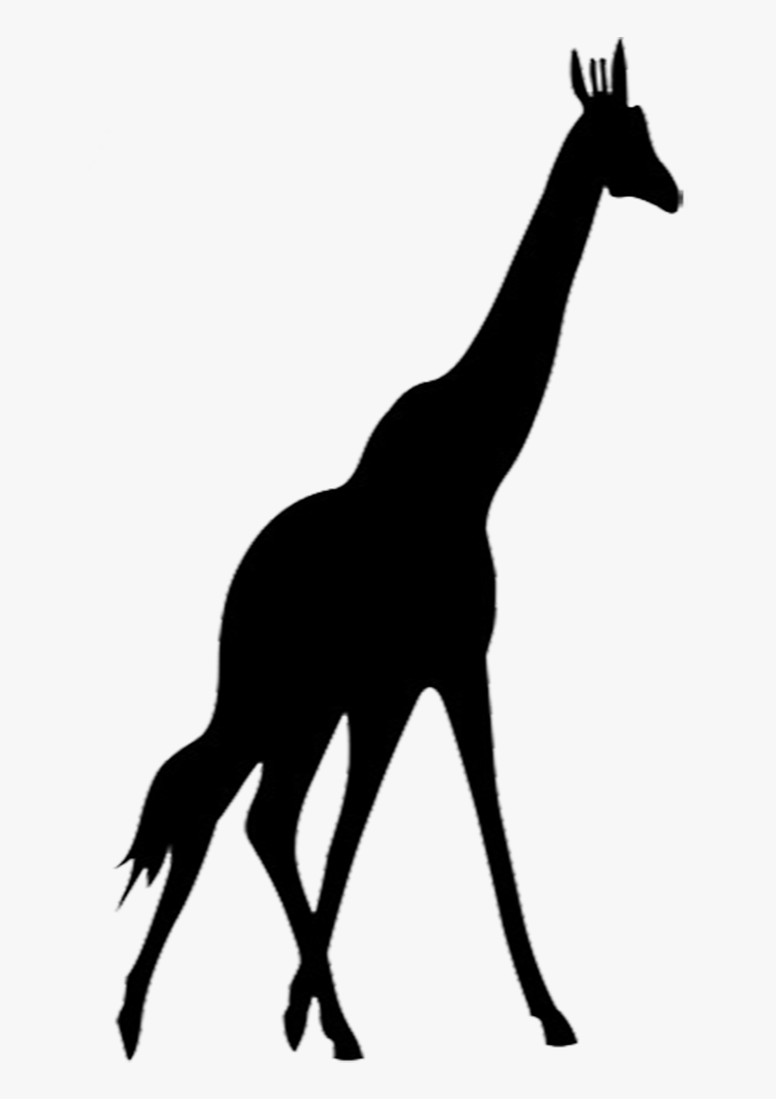 Silhouette Zoo Animals Png, Transparent Png, Free Download