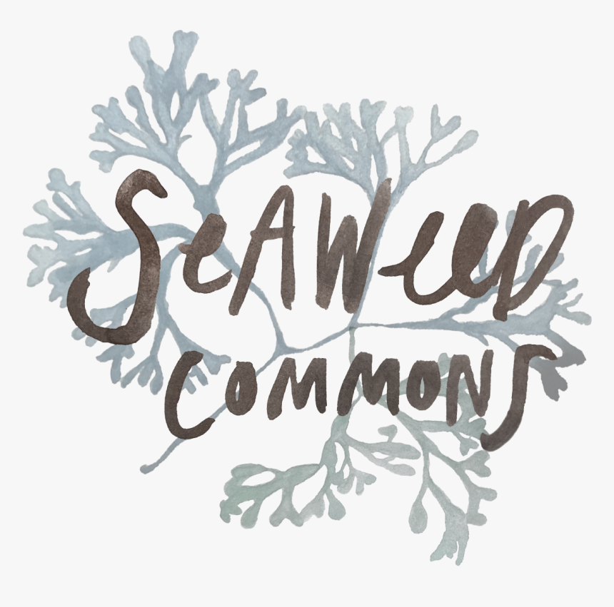 Seaweed Commons - Calligraphy, HD Png Download, Free Download