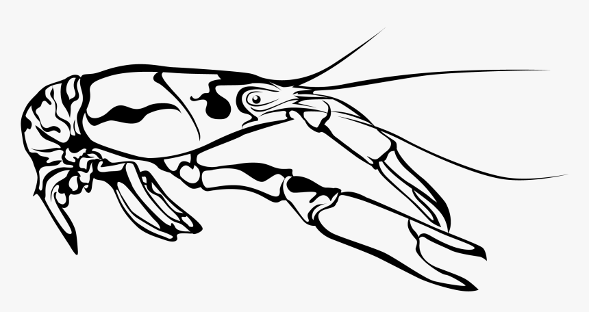 Crawfish - Louisiana Crawfish Clipart Black And White, HD Png Download, Free Download