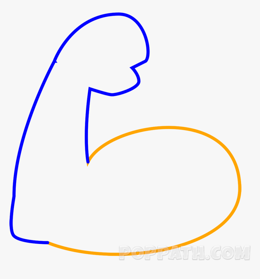 Drawn Mussel Right Arm - Draw A Muscle Arm, HD Png Download, Free Download