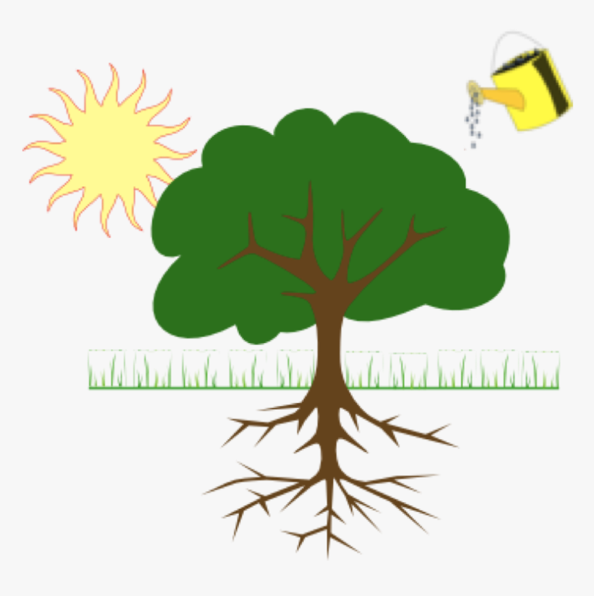 Plants Depend On Water, Soil And Sunlight To Grow Bigger - Tree Clip Art, HD Png Download, Free Download