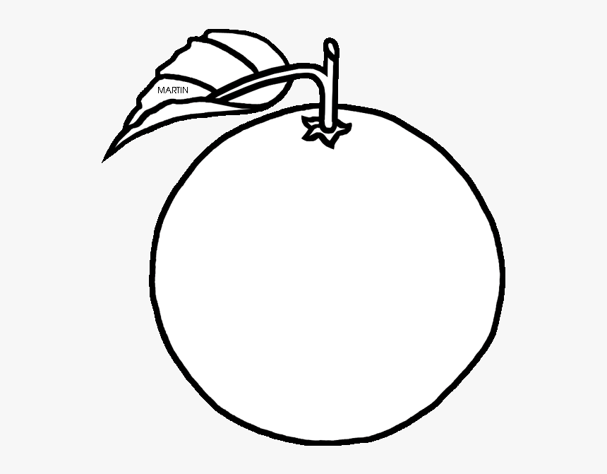 Orange Clipart Florida - White Apple Silhouette, HD Png Download, Free Download