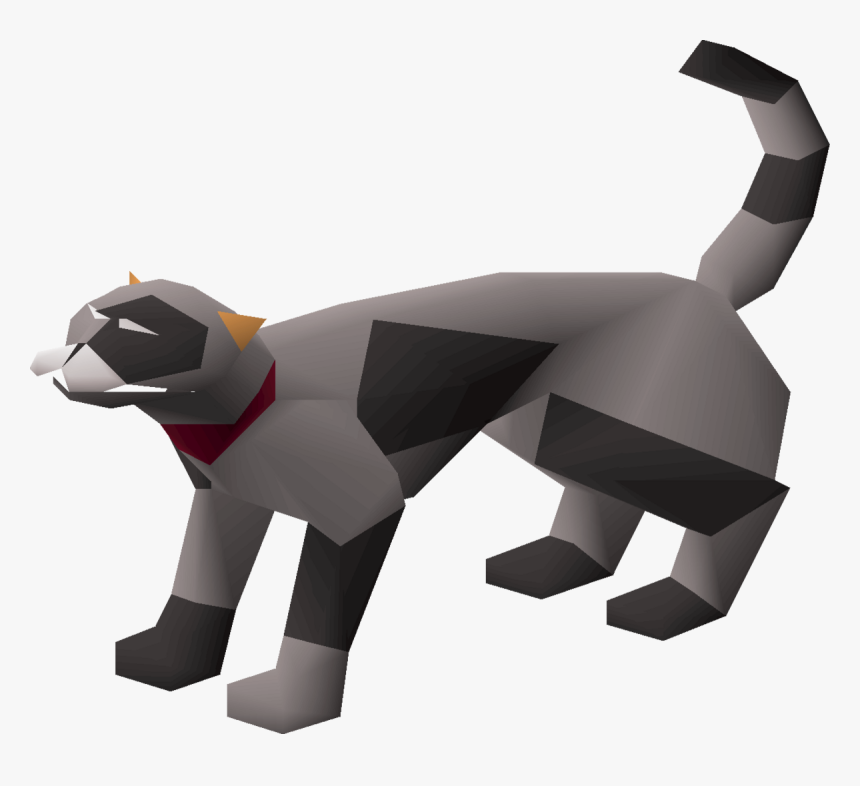 Cat, HD Png Download, Free Download