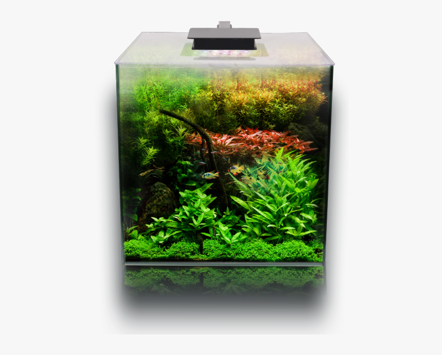 Fluval Flora 14.5 Gallon Aquarium, HD Png Download, Free Download