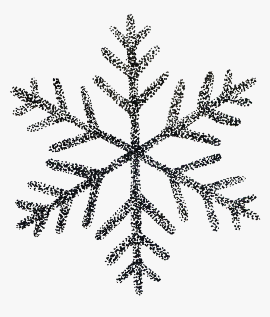 Snowflake - Snowflake - Snowflake - Black And White - Transparent Background Snowflake Clipart, HD Png Download, Free Download