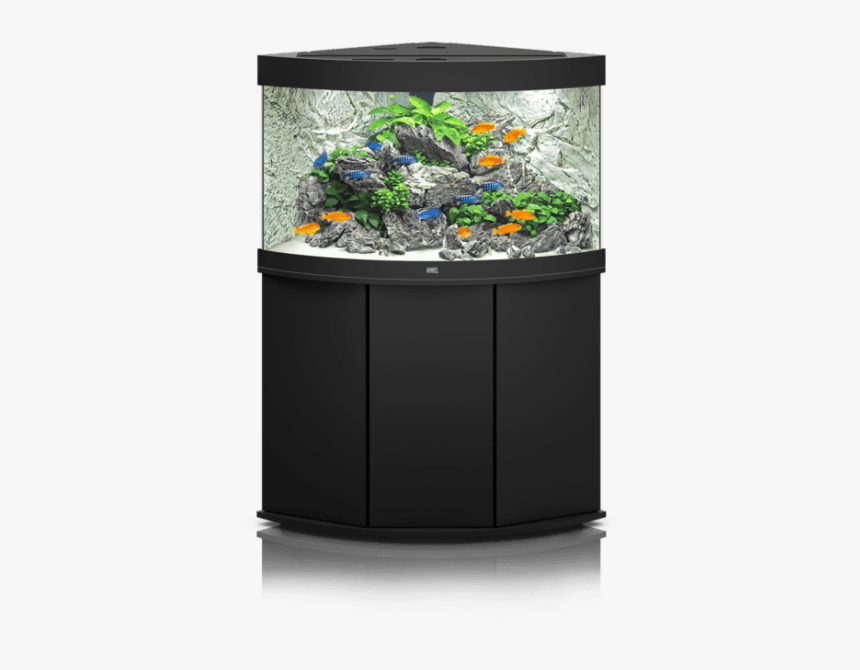 Jewel Aquariums Trigon 190 Cichlid Setup Rock Plants - Juwel Trigon 190, HD Png Download, Free Download