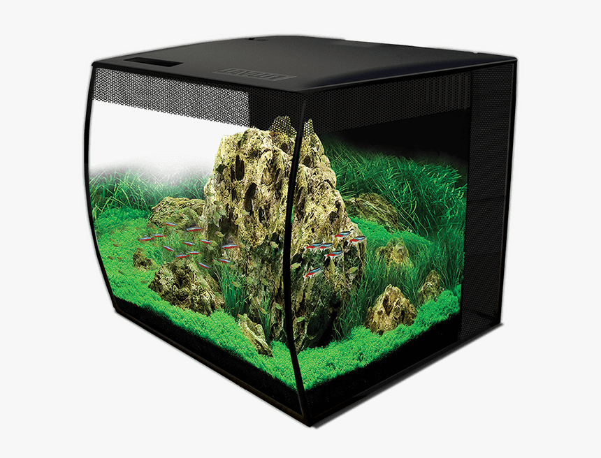 Fluval Flex, HD Png Download, Free Download