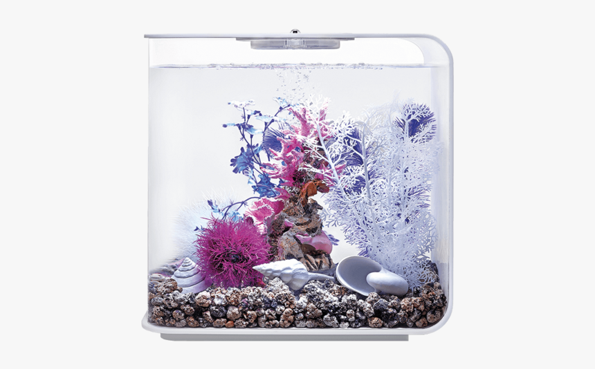 Biorb Fish Tank Decor, HD Png Download, Free Download