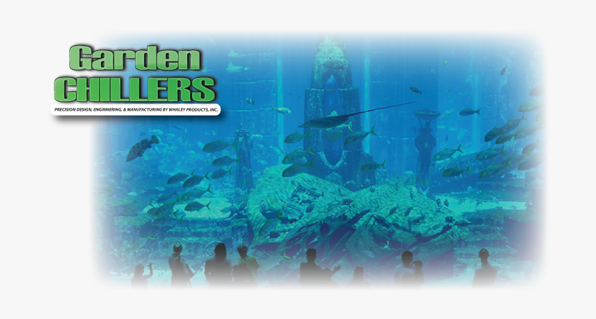 Outdoor Pond - Underwater, HD Png Download, Free Download