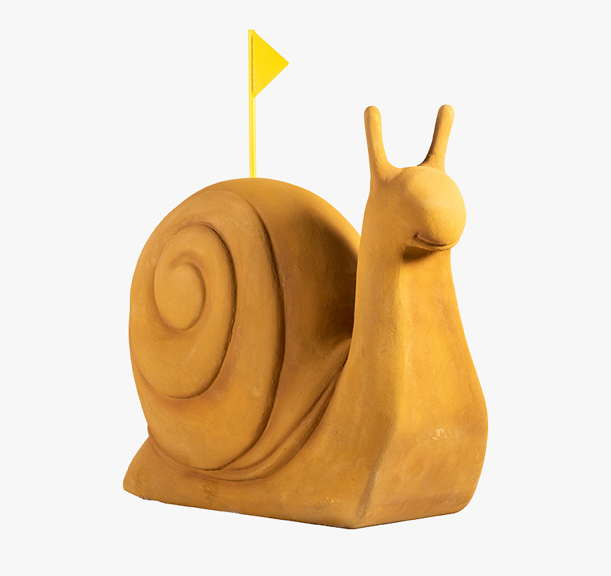 Alfie Deyes Snail - Lymnaeidae, HD Png Download, Free Download