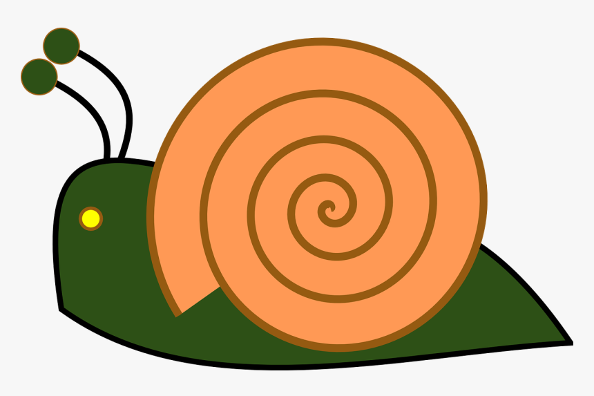 Small Snail Clipart, HD Png Download, Free Download