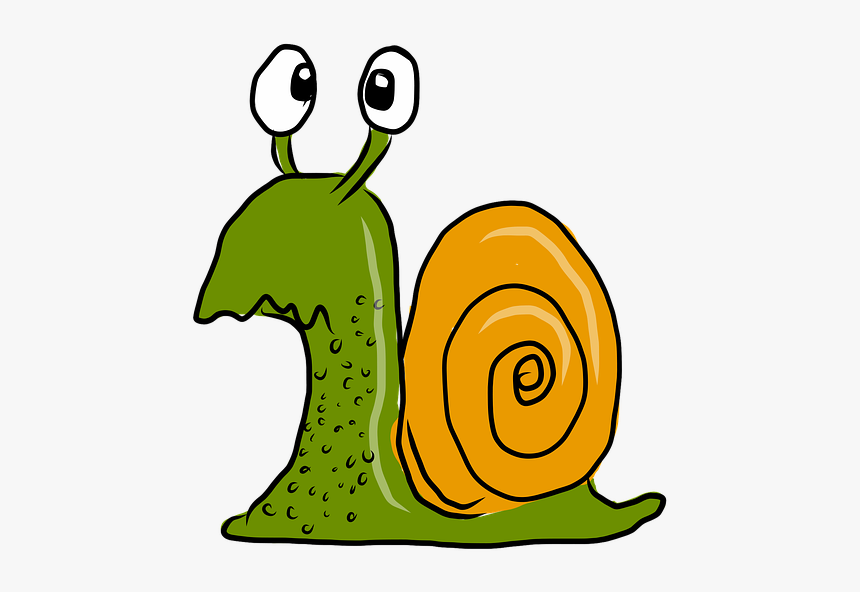 Confundido Caracol, Dibujos Animados, Animales - Fun Calculator Painting Idea, HD Png Download, Free Download