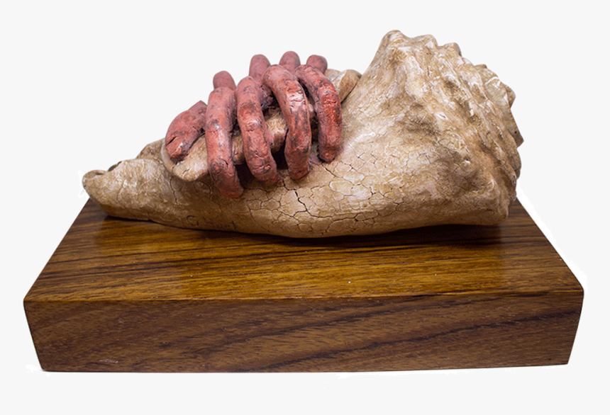 Wood, HD Png Download, Free Download