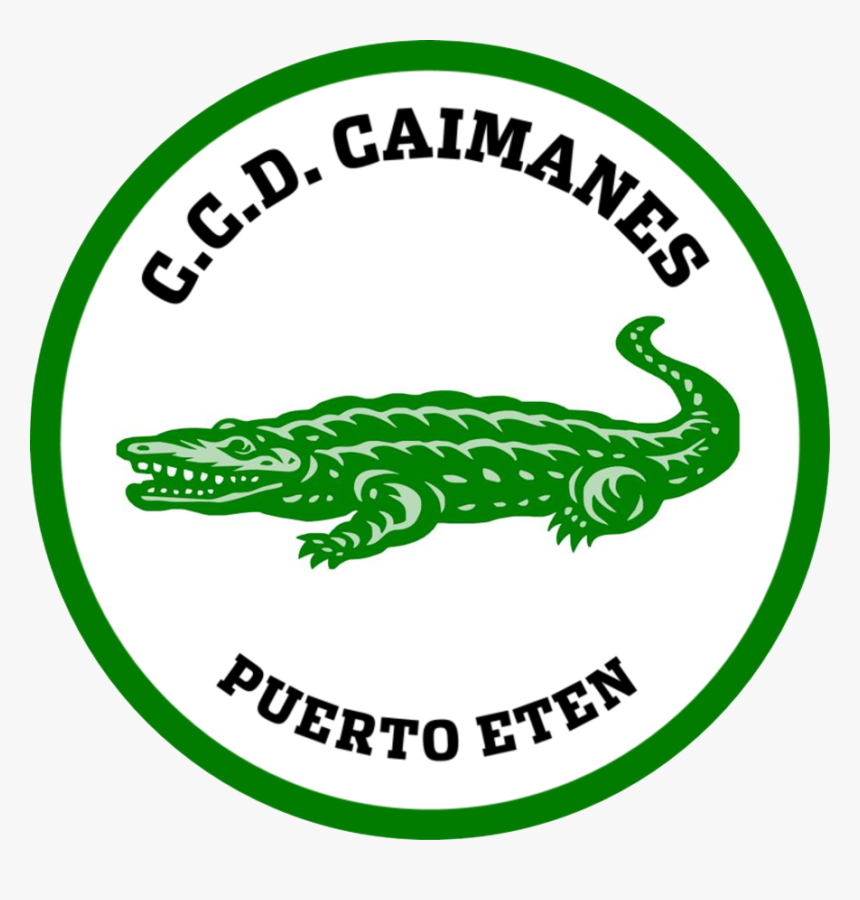 Caimanes - Los Caimanes, HD Png Download, Free Download