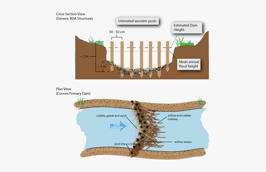 Picture - Beaver Dam Diagram, HD Png Download, Free Download