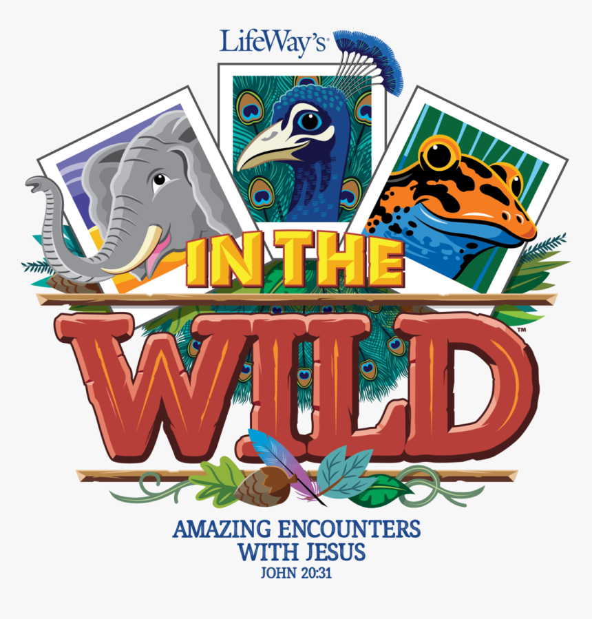 Im The Wild Vbs, HD Png Download, Free Download