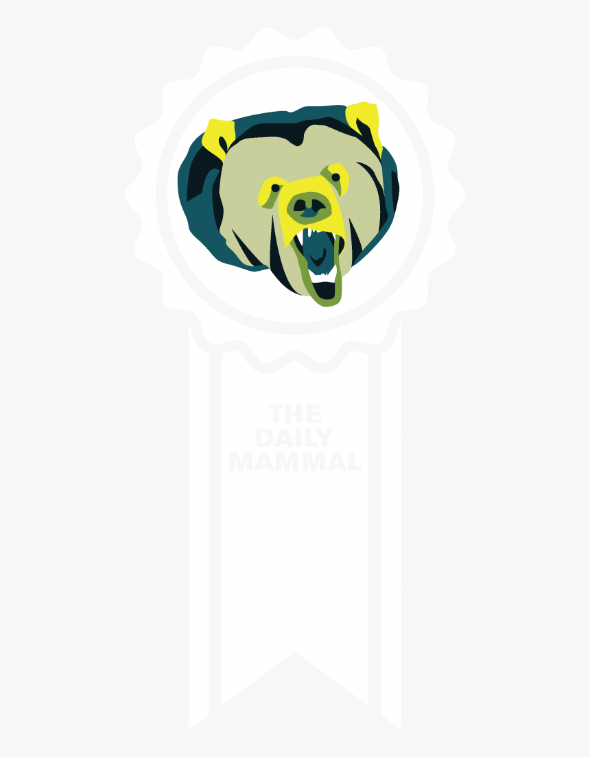 Beaver Dam , Png Download - Cartoon, Transparent Png, Free Download